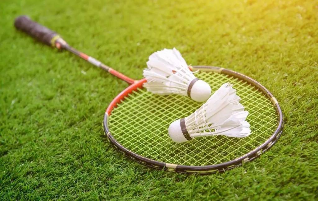 种精神的真 种精神的真