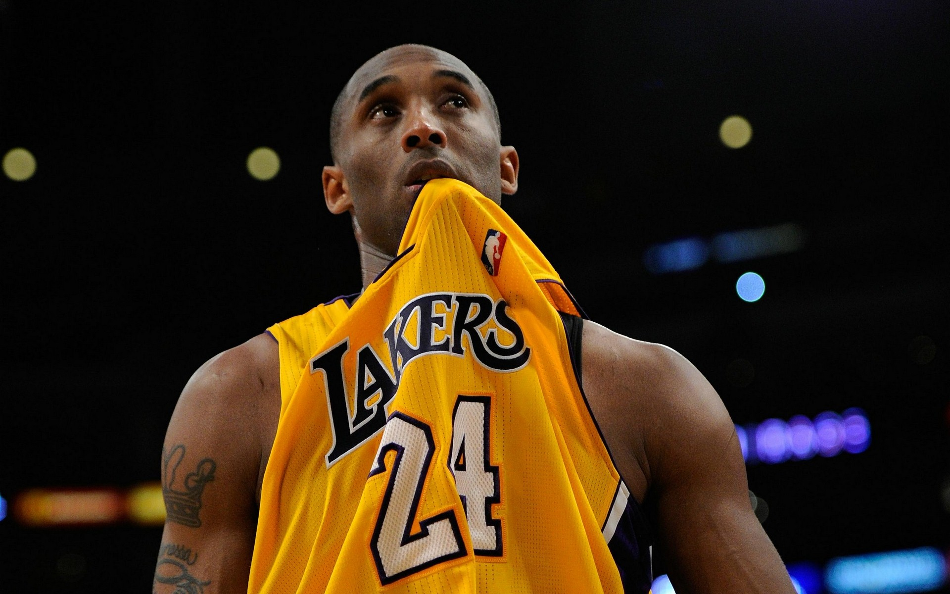 美元的交易 美元的交易